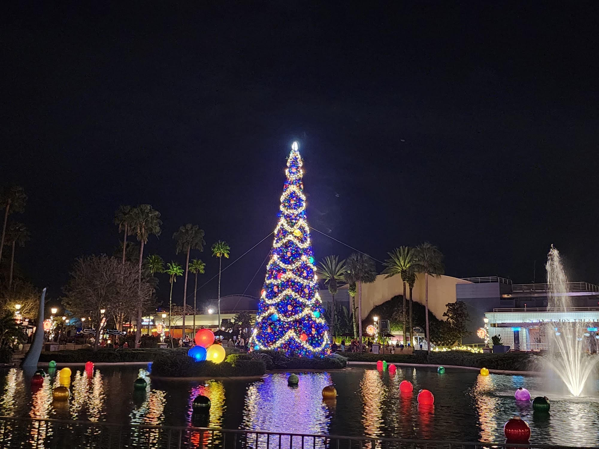unnamed (13) Hollywood Studios Christmas Tree at Night